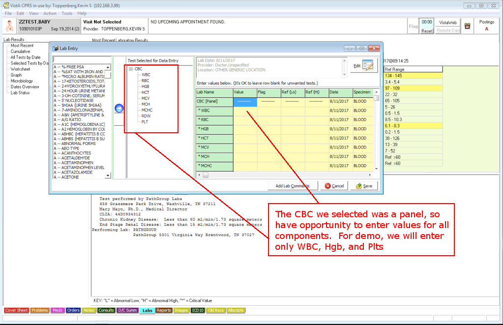 TMG-CPRS-LAB-MANUAL-ENTRY-5.PNG